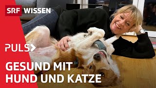 Hunde und Katzen: Wie positiv sind Haustiere für deine Gesundheit | Puls | SRF Wissen