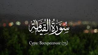 Salim Bahanan - Сура 75 Аль-Кийама (Воскресение)