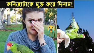 দুর্ভাগা ( কথা বলা ) টিয়া ছানার জীবন কাহিনী | Bird story - 140 | the life story of parrot Bird |