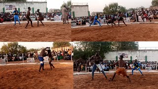 MANUN GARKUWAN CINDO YASUMAR DA USHU SHAGON INDA A DAMBEN SOKOTO NA YAU