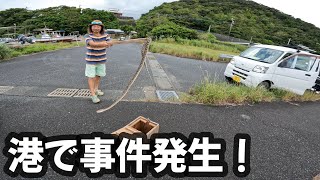 【奄美大島】港にまさかのハブが出た！