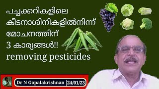 22607 # പച്ചക്കറികളിലെ കീടനാശിനികളിൽ നിന്നും മോചനത്തിന് 3 കാര്യങ്ങൾ!!  24/01/23/ Removing psticides