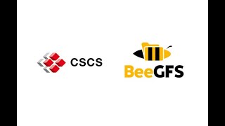 Hussein N. Harake (CSCS) - Evaluation of BeeGFS parallel filesystem