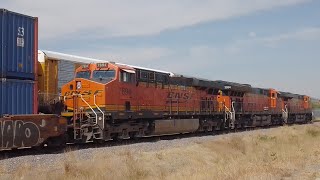 Aparecieron 3 BNSF Tomando Flete Intermodal en Ferropuerto Para Llevarlo Al Norte...