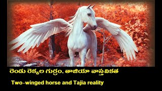 రెండు రెక్కల గుర్రం,, తాజియా వాస్తవికత / Two-winged horse, Tajia reality