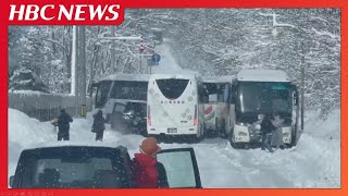 【速報】旭山動物園付近で複数台のバスと乗用車が衝突　けが人複数との情報