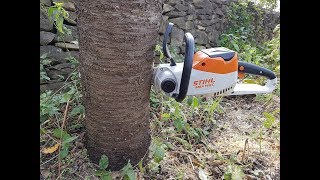 STIHL Cordless MSA 140 C-BQ Chainsaw Cutting logs | TEST