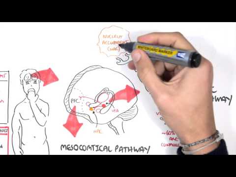 Brief Introduction to Psychosis Brief Introduction to Psychosis