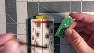 Raspberry Pi SWD Debug Setup