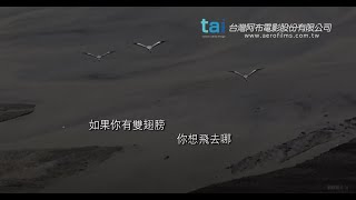 「鳥目台灣」簡介 Taiwan from the Air