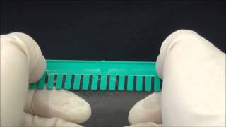 How to remove the comb from SDS-PAGE gel (method 2)