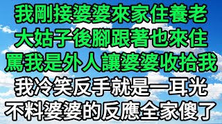 我剛接婆婆來家住養老，大姑子後腳跟著也來住，罵我是外人讓婆婆收拾我，我冷笑反手就是一耳光，不料婆婆的反應全家傻了 | 青葉書坊 生活經驗