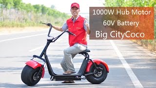 Most Popular 1000W 60V Electric Scooter Harley Citycoco ES8004