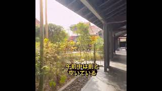 【short】年末最後の#サ活　#静岡#天然温泉柚木の郷