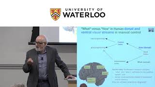 Waterloo Brain Day Lectures 2019 - Michael Arbib (University of Southern California)