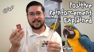 Positive Reinforcement for Parrots Explained