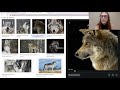 Codemoji Website Development Project