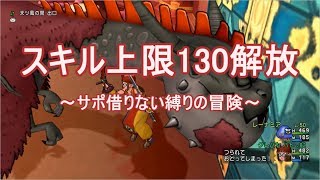 【ドラクエ１０】スキル上限130解放-サポ借りない縛りの冒険-｜遅れ馳せDQX