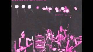 Sheena is a Punk Rocker - Ramones - Live in Amsterdam 1986