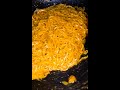 #shorts Cheese Masala Maggi | How to make Cheese Masala Maggi Recipe | How to make Cheese Noodles