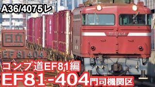 【コンプへの道EF81編】JR貨物門司機関区所属EF81-404牽引貨物列車“A36/4075レ”大分駅到着/発車シーン