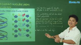 Bài 6 - SH10: Axit nuclêic