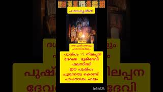 ദശപുഷ്പം 7)ഓരോ പുഷ്പങ്ങൾ ധരിക്കുന്നതിൻ്റെ ഫലവും വ്യത്യസ്തമാകുന്നു. #Shorts