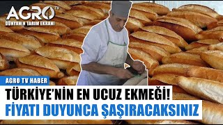 Türkiye'nin En Ucuz Ekmeği! Şaşırtan Fiyat | Agro Tv Haber