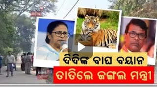 Banerjee | Odisha ଦିଦିଙ୍କ ବାଘ ତତିଲ ମନ୍ତ୍ରା  CM | Tigress Zeenat's Rescue