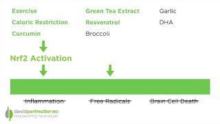 Nrf2 Pathway