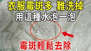 衣服霉斑多難洗掉，用這種水泡一泡，霉斑輕鬆去除，方法真是太棒了【圍裙媽媽】