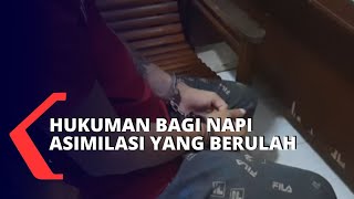 Jerat Hukum Diperberat bagi Napi Asimilasi yang Berulah Kembali