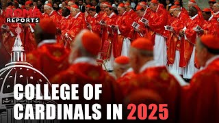 This is what the College of Cardinals will look like in 2025