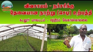 நாற்றுப்பண்னை (செடி வளர்ப்பு) -கடலூர் மாவட்டம்- சத்திரம் வேகாக்கொல்லை