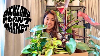 Auckland Plant Market 2021 || New Zealand Plant Sale