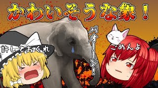 【ゆっくり茶番】エサをもらえない、可哀想なゾウ【せせり先生】【国語　かわいそうなゾウ】