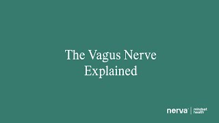 IBS and The Vagus Nerve Explained