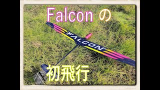 Falcon Lightの 初飛行をやった！