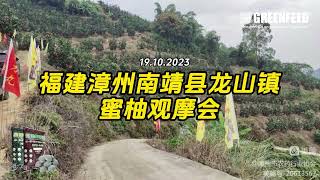 福建漳州南靖县龙山镇蜜柚大力丸观摩会 20231019 Greenfeed Honey Pomelo Planters' Meeting in Fujian_20231019