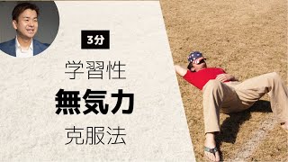 【聖書が教える】大人の80％近くの人が当てはまる？！「どうせ何をやっても無駄だ」と思っていませんか？【学習性無気力克服法】