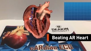 Examine A Beating Heart Right Before Your Very Own Eyes