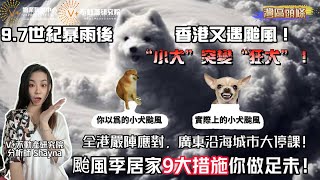 9.7世紀暴雨後香港又遇颱風！“小犬”突變“狂犬”！全港嚴陣應對、廣東沿海城市大停課！貼玻璃？墊毛巾？颱風季居家9大措施你做足未！#颱風小犬 #颱風防範措施 #8號風球 #vplus地產研究院