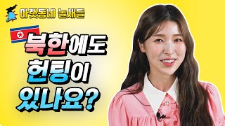 [ENGLISH SUB] 북한에도 헌팅이 있나요?ㅣ아랫동네 놀새들 How is Dating Life Different in North Korea and South Korea?