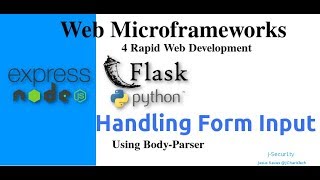 Web Microframeworks with Flask & Express - Handling & Collecting Form Inputs In Express.js