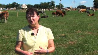 BEEF 2014 - 'The Business of Cattle' - Bernadette Earley: A Healthy Herd