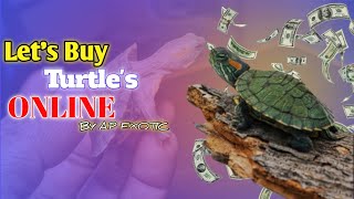 Turtles unboxing| Baby Red Eared Slider Turtles #redearedsliderturtle #red-earedsliderturtel