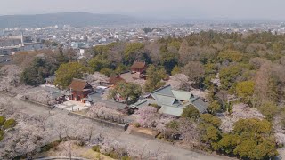 富士山本宮浅間大社 Fujinomiya Sengen Shrine, Japan - drone