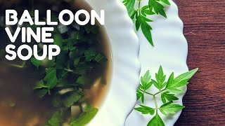 Balloon Vine Soup | Homemade | Healthy, Easy \u0026 Simple Recipe