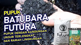 Pupuk Batubara Futura Pupuk dengan kandungan unsur terlengkap dan ramah lingkungan