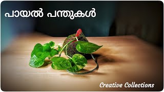 How to make kokedama/ Moss ball/ പായൽ പന്തുകൾ/Creative Collections